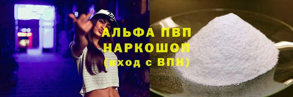 индика Беломорск