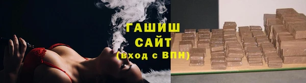 индика Беломорск