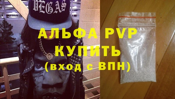 СК Белокуриха