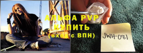 индика Беломорск
