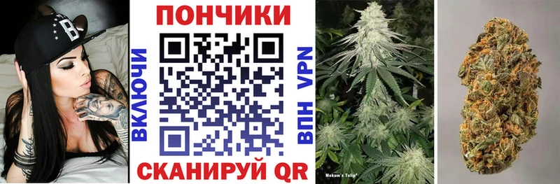 Бошки Шишки семена  Борзя 